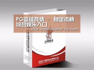 项目名称十三