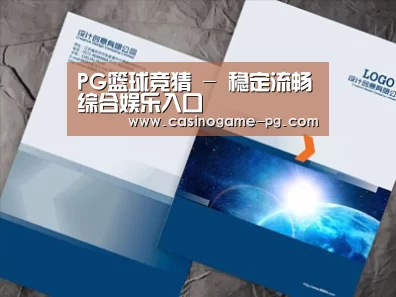 项目名称十