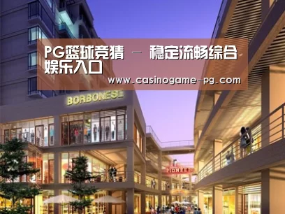 案例展示一